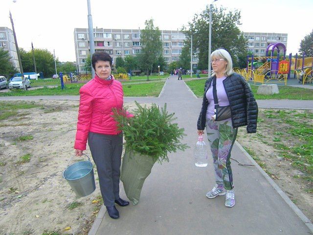 Изображение 001.jpg Изображение 001.jpg